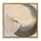 Stupell Industries Shadowed Form Curve Framed Floater Canvas Wall Art Design by Noah Bay